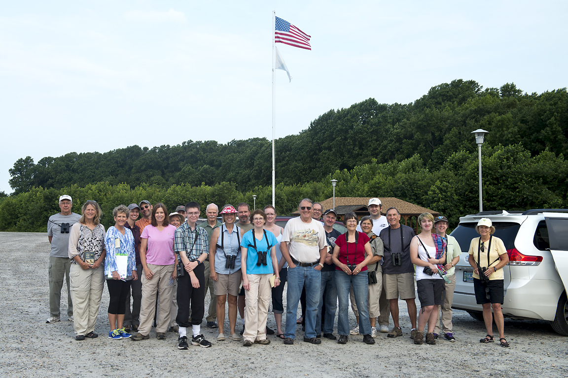 Shorebird Trip to Bombay Hook NWR