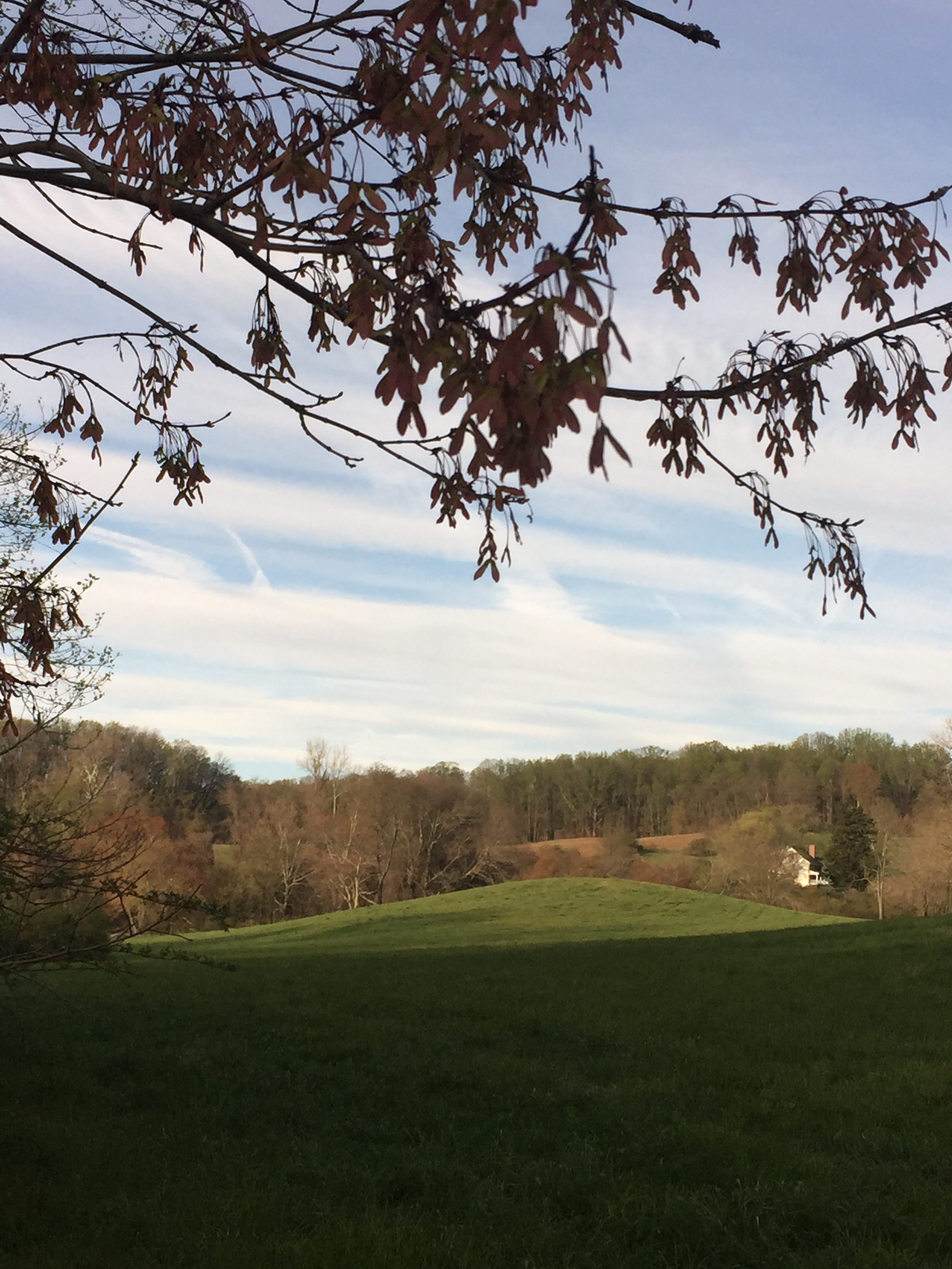 Ramsey Farm 2016 Delaware Ornithological Society