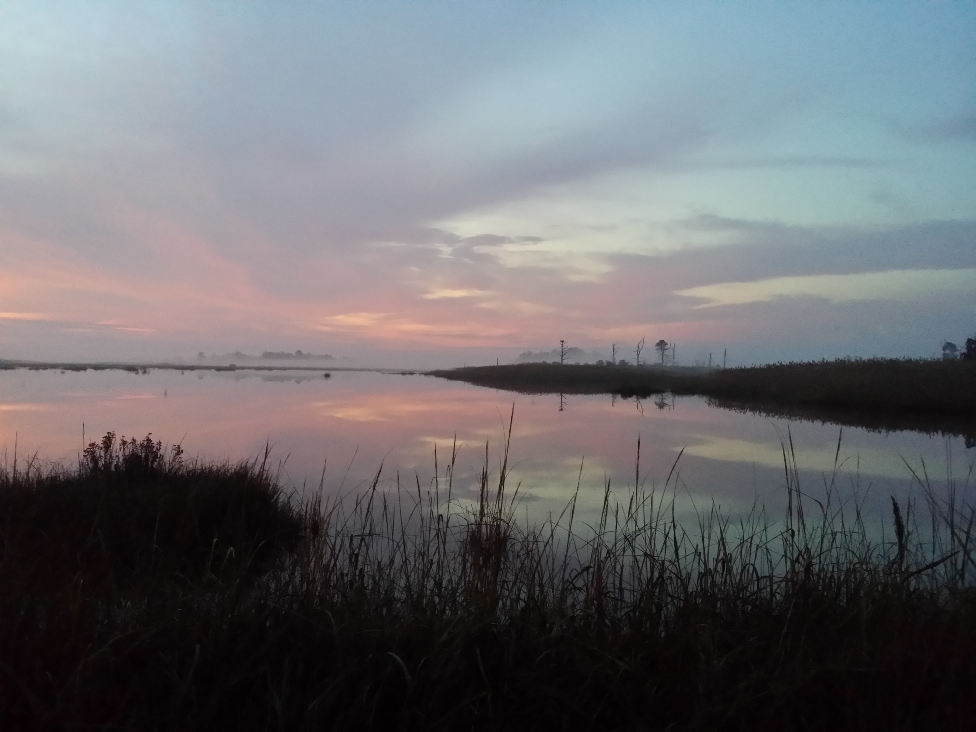 Milford Neck, DE - photo by Chriss Bennett