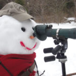 DOS Christmas Bird Counts Snowman in Delaware