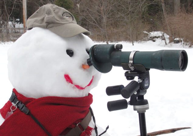 DOS Christmas Bird Counts Snowman in Delaware