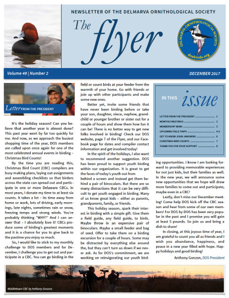 the flyer newspaper