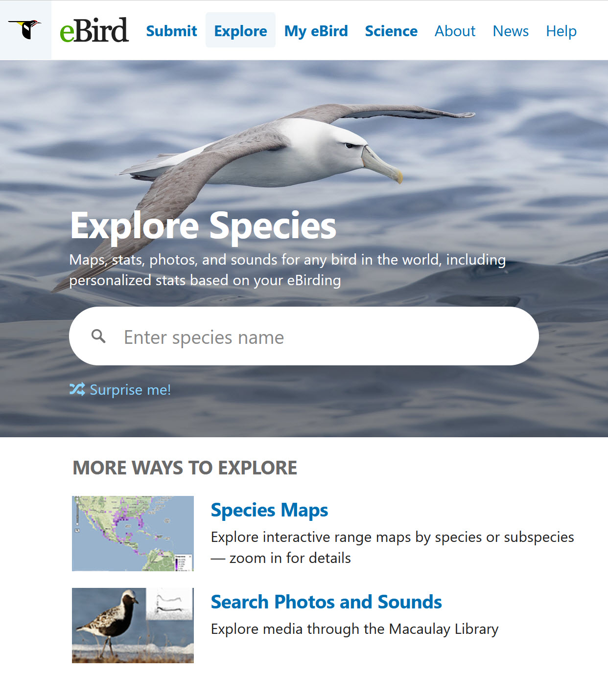 ebird home page