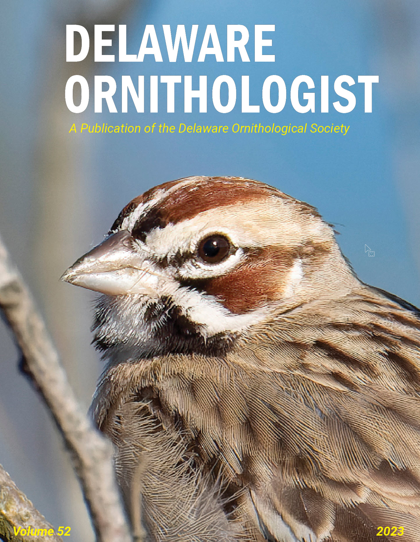 Ornithologist 2023 Cover
