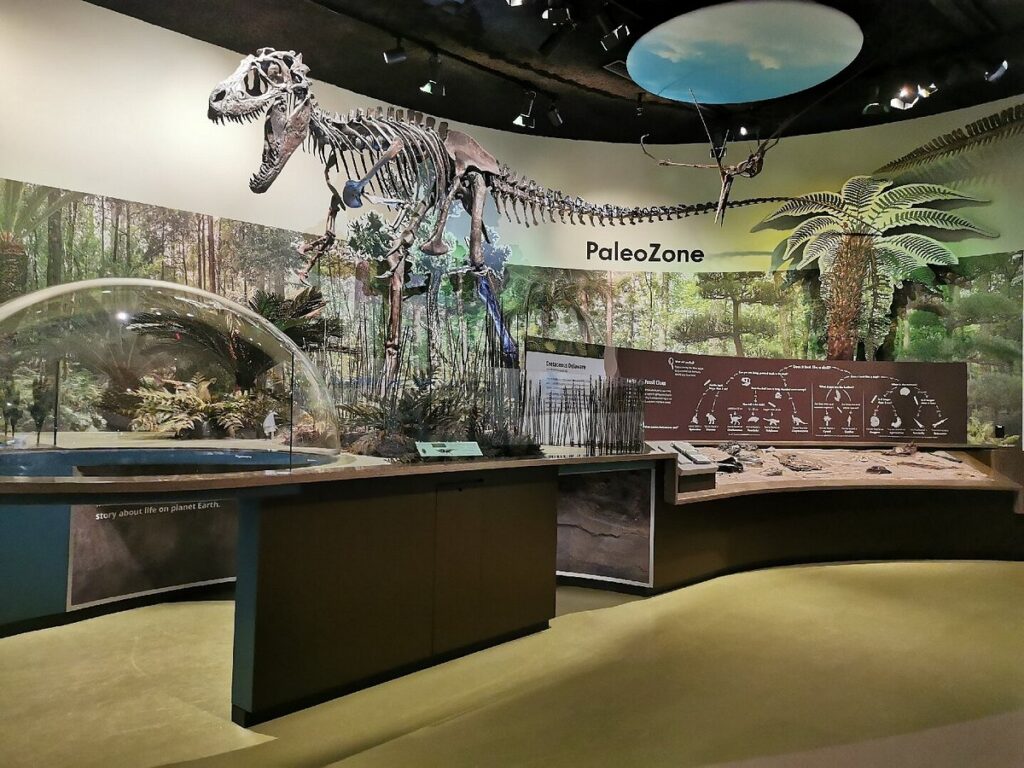 Museum exhibit