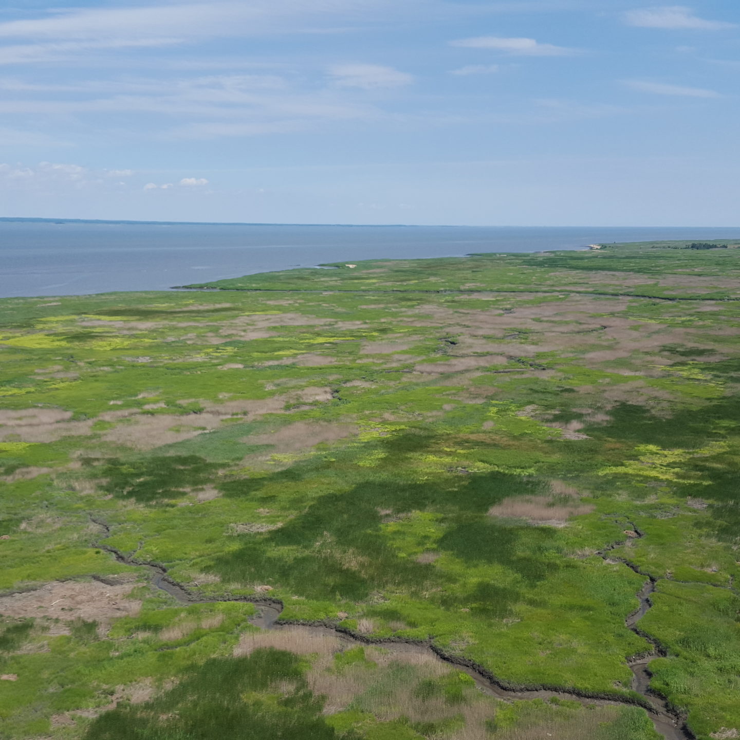 Delaware Bay by Matt Sarver